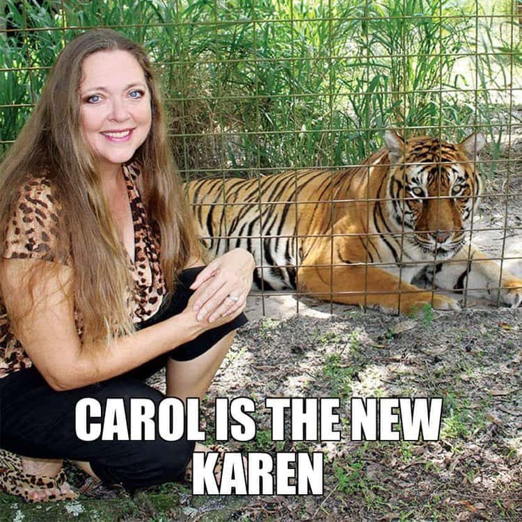 28 Random Memes Dunking On Carole Baskin From 'Tiger King'