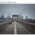 Brooklyn Bridge, NYC on Random Haunting Photos Of Deserted Cities Across America During Pandemic