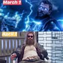 It's Been A Rough Month on Random Thor Memes We Laughed Way Too Hard At