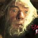 Gandalf Knows Best on Random Funniest 'Lord of the Rings' Memes About Coronavirus