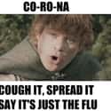 Nothing To Worry About on Random Funniest 'Lord of the Rings' Memes About Coronavirus