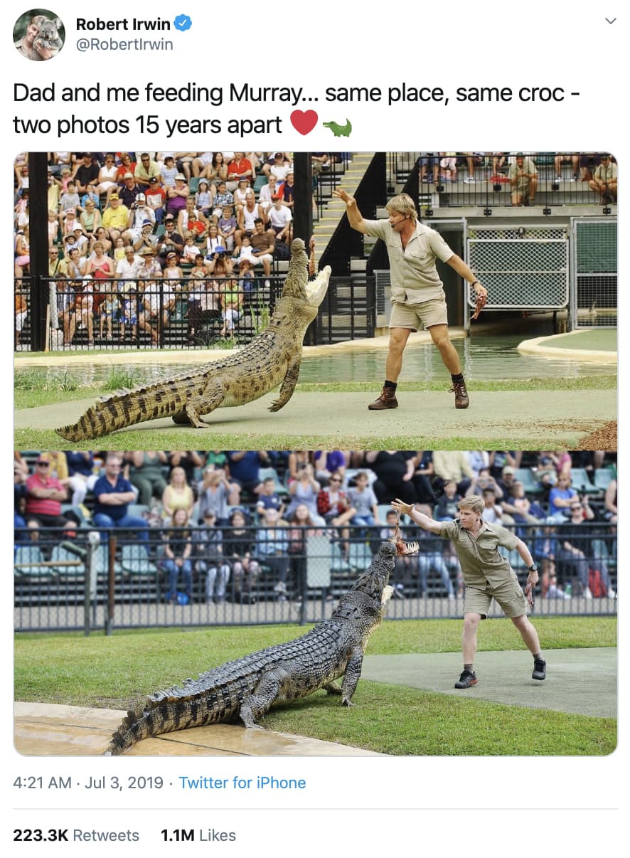 Image of Random Photos Of Robert Irwin That Would Make His Father, Steven Irwin, Proud