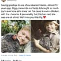 His Love For Animals, Just Like His Dad on Random Photos Of Robert Irwin That Would Make His Father, Steven Irwin, Proud