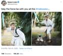 He's A Goofyball, And A Star Wars Fan on Random Photos Of Robert Irwin That Would Make His Father, Steven Irwin, Proud