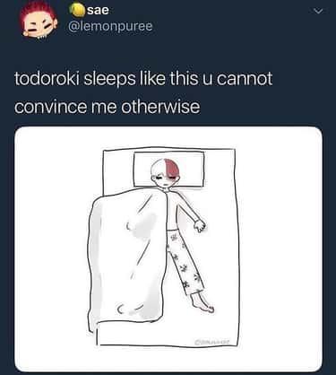 20 Hilarious Todoroki Memes That Are Plus Ultra Funny