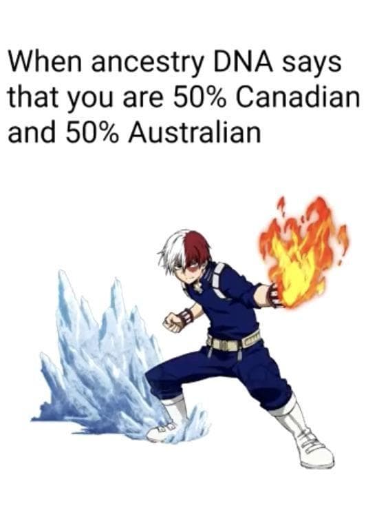 25 Hilarious Todoroki Memes That Are Plus Ultra Funny