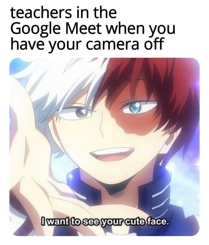 25 Hilarious Todoroki Memes That Are Plus Ultra Funny