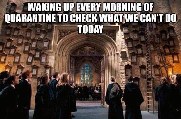 18 Harry Potter Memes That Imagine Hogwarts Under Quarantine