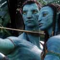 I've Already Chosen on Random Best 'Avatar' Quotes