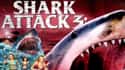 Shark Attack 3: Megalodon (2004) on Random Bad Horror Movies That Are Actually Good