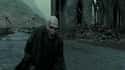 Lord Voldemort - 'The Deathly Hallows, Part II' on Random Most Unforgettable Last Words of Iconic Movie Villains