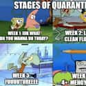 So Accurate on Random Funny Coronavirus Memes From This Week