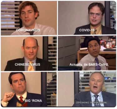 The Office Memes That Imagine Quarantine At Dunder Mifflin