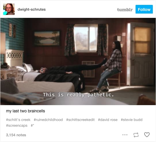 21 Memes That Prove 'Schitt's Creek' Was Simply The Best