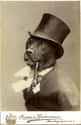 Albert 'Good Boy' Dandridge Enjoys Long Walks And Collecting Rent From Park Place on Random Proudest And Most Sophisticated History Dogs