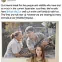 Raising Awareness During Australian Wildfires on Random Photos Of Bindi Irwin That Would Make Her Father, Steve Irwin Proud