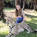 She Is The Tiger Queen And Really Rescues Big Cats on Random Photos Of Bindi Irwin That Would Make Her Father, Steve Irwin Proud