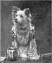 Gloria Bembridge Is Never Late For Tea on Random Proudest And Most Sophisticated History Dogs