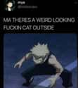 Nice Reference on Random Hilarious Bakugo Memes That Made Us Explode With Laughter