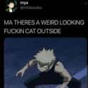 Nice Reference on Random Hilarious Bakugo Memes That Made Us Explode With Laughter
