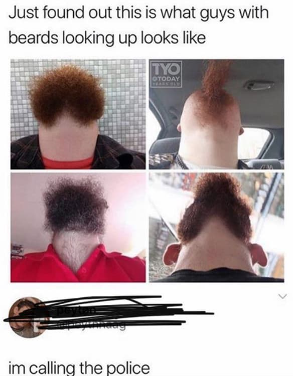 23 Incredible Hipster Beards Beard and mustache styles, Beard styles, Beard no m