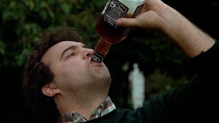 The Best 'Animal House' Movie Quotes, Ranked By Fans