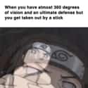 Justice For Neji on Random Hilarious Memes About Hyuga Clan