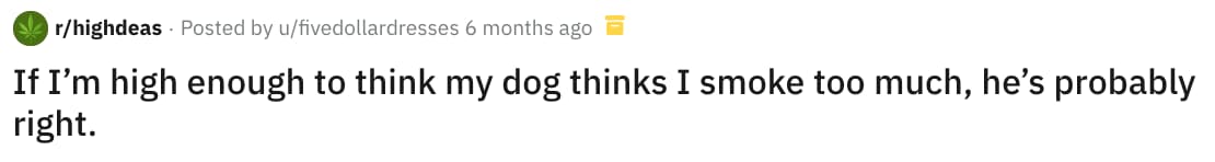 27 Stoners Share The Most Hilarious Thoughts They Had While High