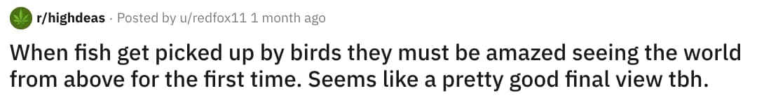 27 Stoners Share The Most Hilarious Thoughts They Had While High