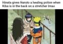 Isn't Kiba Your Teammate? on Random Hilarious Memes About Team 8 From Naruto