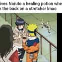 Isn't Kiba Your Teammate? on Random Hilarious Memes About Team 8 From Naruto