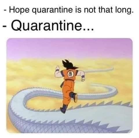 22 Dbz Memes About The Pandemic That Are Actually Really Funny