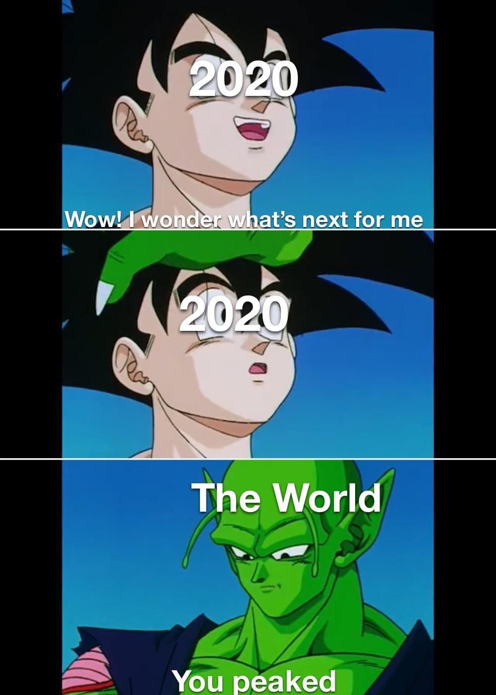 Dragon Ball Z 21 Hilarious Memes About The Pandemic Fandomwire