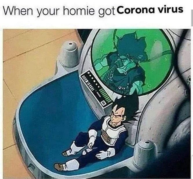 Dragon Ball Z 21 Hilarious Memes About The Pandemic Fandomwire