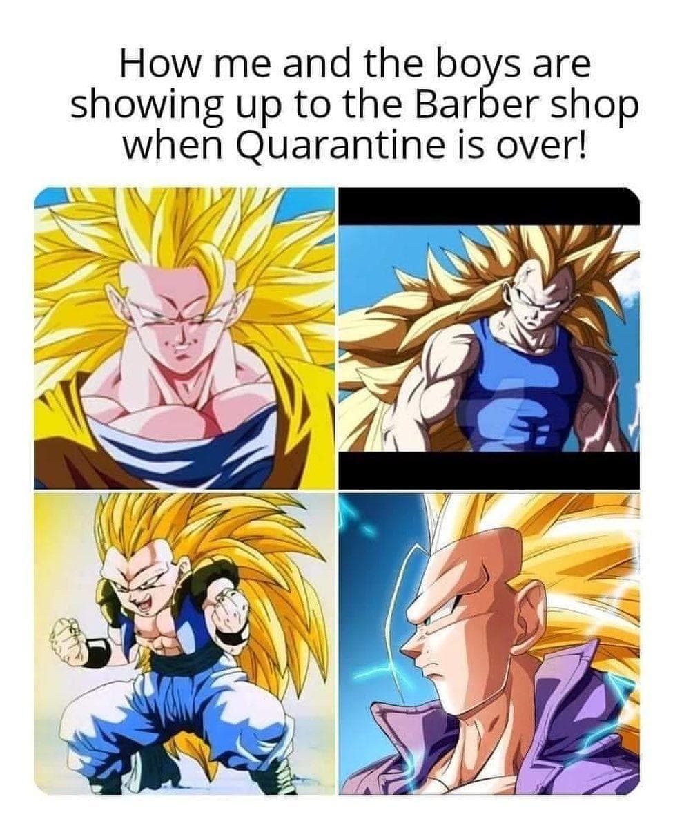 Dragon Ball Z 21 Hilarious Memes About The Pandemic Fandomwire
