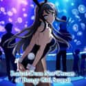 Rascal Does Not Dream of Bunny Girl Senpai on Random  Best Anime Streaming On Hulu
