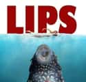 LIPS on Random Hilarious Memes about Aquarium Owners