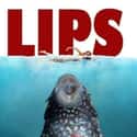LIPS on Random Hilarious Memes about Aquarium Owners