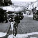 A Large Tuna In Istanbul (c. 1930) on Random Fascinating Photos Of Historical Fishermen With Their Big Catches