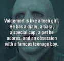 The Least Popular Girl In School on Random Memes That Have Us Calling Voldemort "He Who Should Not Be Respected"
