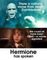 Hermione > Voldemort on Random Memes That Have Us Calling Voldemort "He Who Should Not Be Respected"