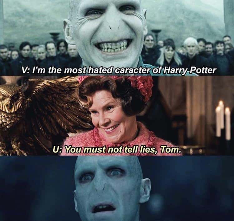 22 Memes That Have Us Calling Voldemort He Who Should Not Be