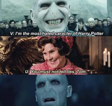 22 Memes That Have Us Calling Voldemort He Who Should Not Be Respected