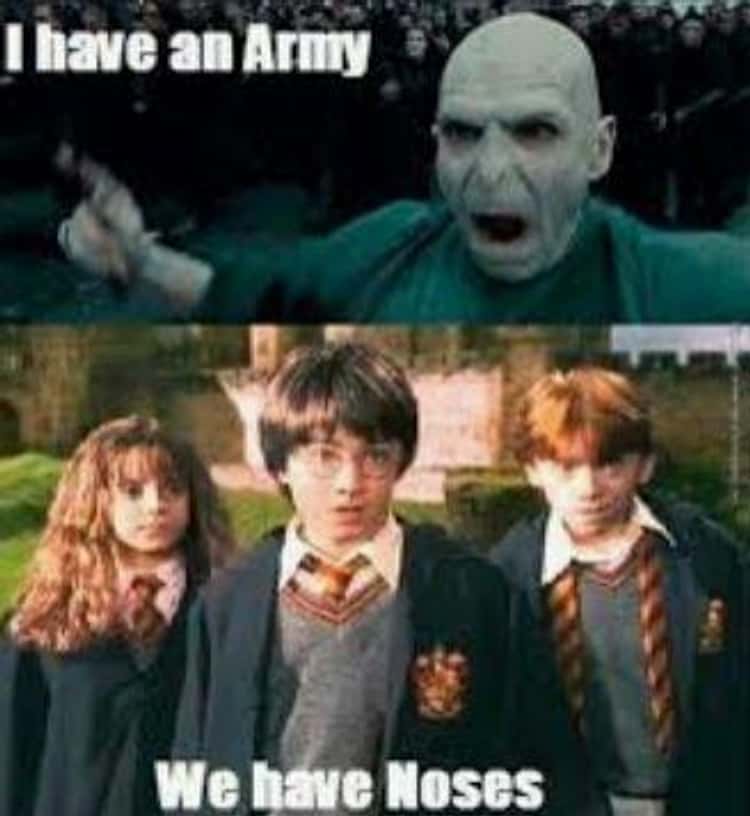 22 Memes That Have Us Calling Voldemort He Who Should Not Be