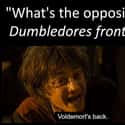 He's The Punchline on Random Memes That Have Us Calling Voldemort "He Who Should Not Be Respected"