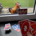 A Suspicious Game Of Uno on Random Best Ways People Are Still Making A Good Time Out Of Quarantine