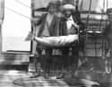 Large Fish Caught On The 'HMS Penguin' (c. 1902-1905) on Random Fascinating Photos Of Historical Fishermen With Their Big Catches