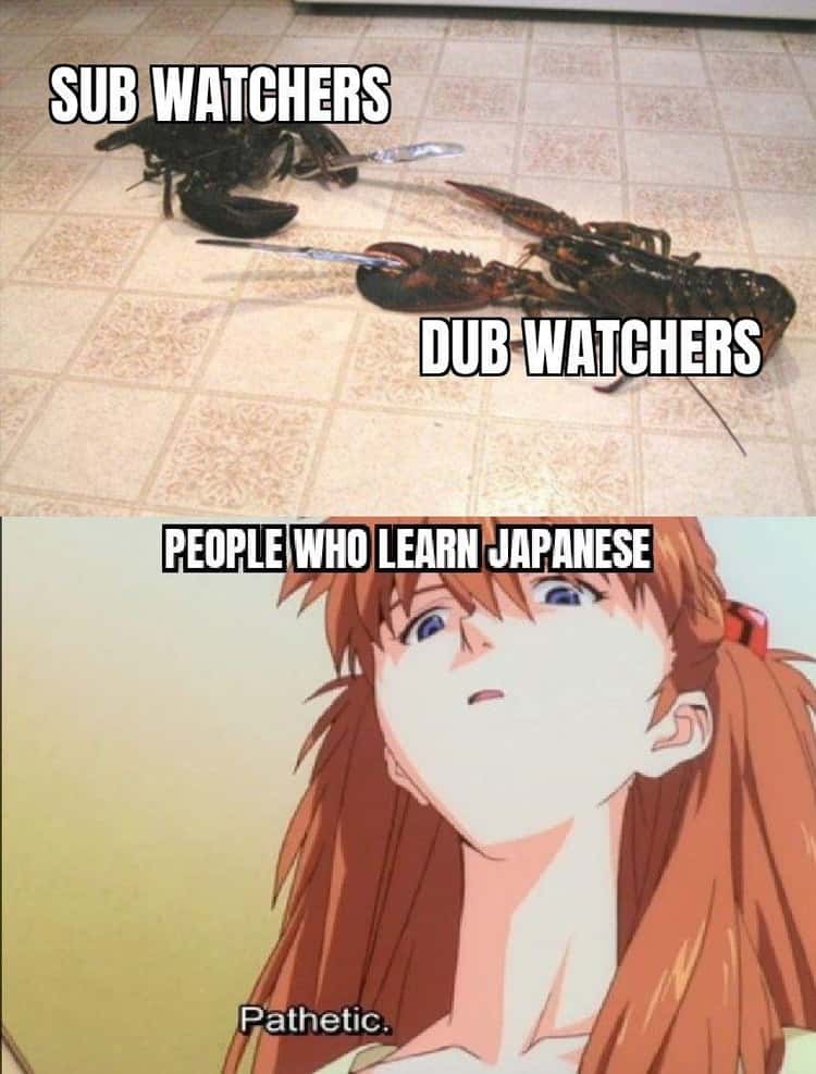 34 Anime Memes For Helpless Weebs & Otaku - Memebase - Funny Memes