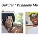 Say What? on Random Funny Memes About Sakura Being Useless in Naruto