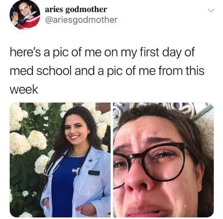 30 Hilarious Medical School Memes Made By And For Medical Students